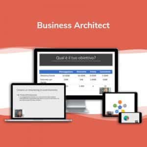 Business Architect